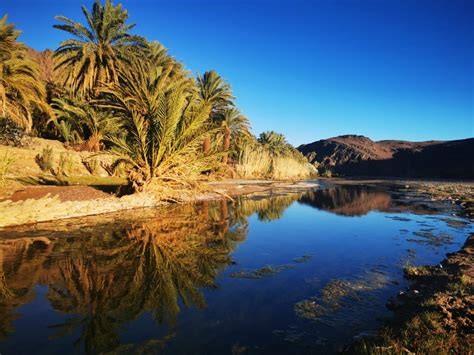 Excursion en calèche et visite de la Vallée De Dades et Oasis de Fint Ouarzazate